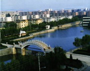 白塔天气预报10天