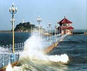 青岛天气预报40天